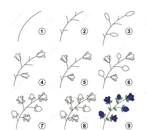 Hur Man Ritar Blommor, Trin For Trin Tegning, How To Draw Flowers, Pola Tato, Drawing Instructions, Flower Step By Step, Botanical Line Drawing, Draw Flowers, Flower Drawing Tutorials