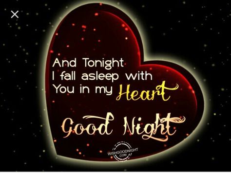 Goodnight My Love Quotes, Sleep Well My Love, Night Hug, Goodnight Baby, Good Night For Him, Cute Good Night Quotes, Good Night Hug, Sweet Dream Quotes, Good Night Sleep Well