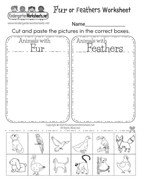 Free Printable Fur or Feathers Worksheet for Kindergarten Kindergarten Science Worksheets, Science Kindergarten Worksheets, Animal Habitats Preschool, Animal Classification Worksheet, Free Science Worksheets, Pre-k Science, Worksheet For Kindergarten, Animal Classification, Free Kindergarten Worksheets