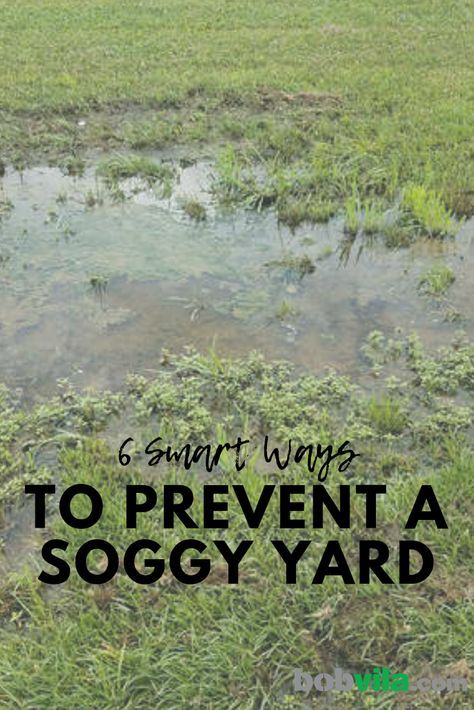 Soggy Yard, Flower Backyard, Yard Drain, Facts And Opinions, Landscaping Along Fence, Truck Garden, Landscape Drainage, Backyard Drainage, Yard Drainage