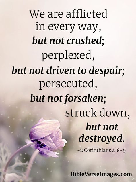 Bible Verse Images, Hold On To Hope, Verse Images, Inspirtional Quotes, Bible Verses About Faith, Bible Translations, Christian Love, Biblical Verses, Bible Teachings