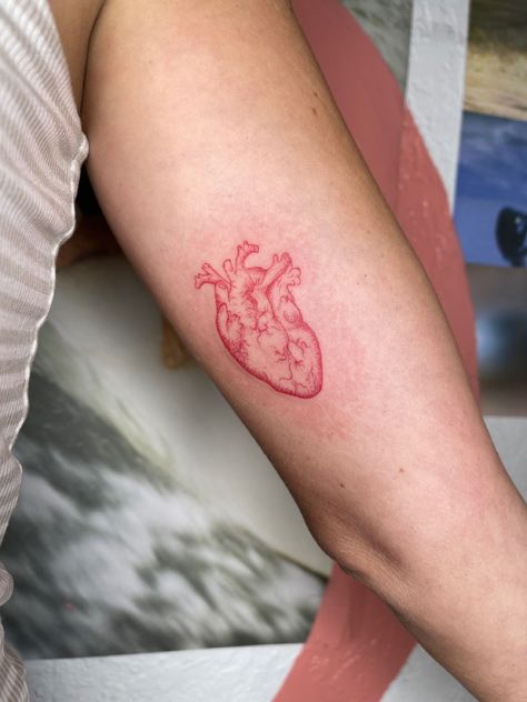 By Olli Ink Human Heart Tattoo, Red Heart Tattoo, Realistic Heart Tattoo, Dm Tattoo, Red Heart Tattoos, See Tattoo, Anatomical Heart Tattoo, Small Heart Tattoos, Petite Tattoos