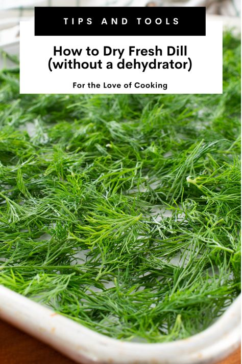 Have extra fresh dill? Learn how to dry it in the oven. #howtodryherbs #driedherbs #Dill #spices #ovendriedherbs #harvestingherbs #freshdill How To Harvest Dill Fresh Herbs, Dill Biscuits, Mason Jar Gifts Recipes, Making Dill Pickles, How To Grow Dill, Preserve Fresh Herbs, Drying Fresh Herbs, Dill Pickle Recipe, Oven Vegetables