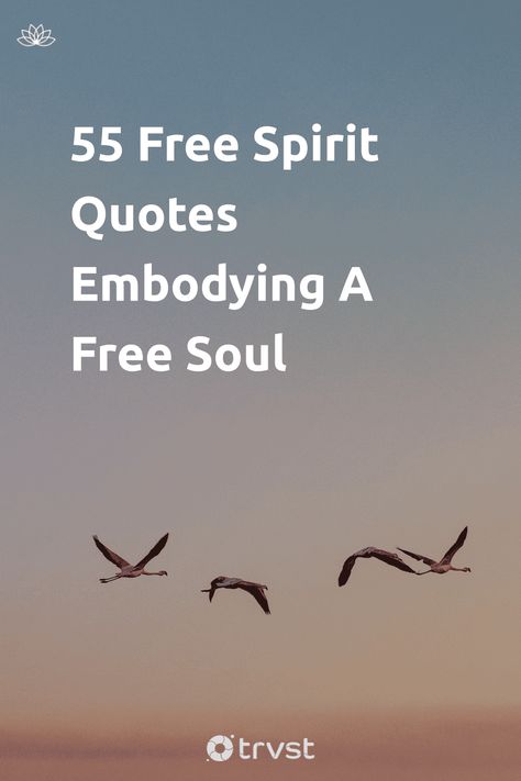 Embrace your unique spirit with inspiration from our free spirit quotes collection! Let the wise words of renowned figures ignite your imagination and power to challenge norms. Explore freedom, independence, and spontaneity. #FreeSpirit #Quotes #Inspiration #Truth #Independence 🕊️🌍💚 Quotes About Feeling Free, Carefree Quotes Free Spirit, Free Your Soul Quotes, Free Spirit Captions, Bohemian Quotes Free Spirit, Love Is Freedom Quotes, Free Quotes Spirit, Quotes About Flying Inspirational, Free Quotes Feeling