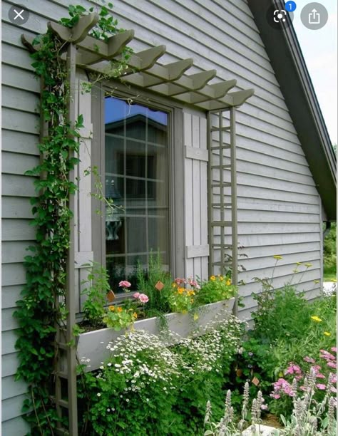 Window Trellises, Window Box Plants, Pergola Diy, Small Front Yard Landscaping, Window Plants, Patio Pergola, Small Front Yard, Desain Lanskap, Window Planter Boxes