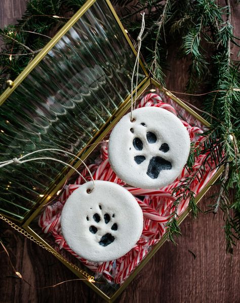 🎄 DIY Alert! 🎨🐾 This holiday season, why not create something truly special with your fur baby? Our DIY Paw Print Salt Dough Ornament Guide is here to help you make a keepsake that’ll melt your heart every time you hang it on the tree. 👣✨ Whether it’s your pup’s first ornament or a tradition you love, this project is the paw-fect way to celebrate the bond you share. Plus, it’s easy, fun, and filled with holiday magic! 🎅🐶 💌 Want the guide? Just comment "Ornament" below, and we’ll send it str... Dog Footprint Ornament, Dog Paw Print Ornament Diy, Paw Print Ornament Diy, Dog Print Ornament, Dog Paw Print Ornament, Diy Paw Print, Pet Paw Print Ornament, Footprint Ornament, Salt Dough Ornament