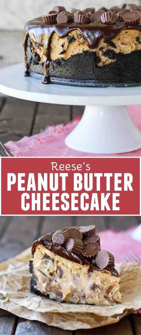 Reese's Peanut Butter Cheesecake, Sully Cake, Peanut Butter Cheesecake Recipes, Taste And Tell, Peanut Recipes, Best Cheesecake, Peanut Butter Cheesecake, Best Peanut Butter, Reeses Peanut Butter Cups