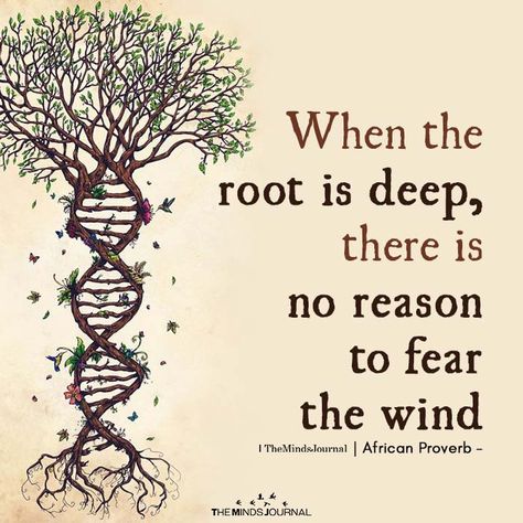 When The Root Is Deep - https://themindsjournal.com/when-the-root-is-deep/ Be So Rooted In Yourself, Rooted In Yourself, Roots Quotes, Tree Of Life Quotes, Sanskrit Symbols, African Quotes, Tree Quotes, African Proverb, Proverbs Quotes