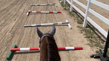 Horse Ground Work Exercises, Ground Pole Exercises Horses, Pole Work For Horses, Ground Work For Horses, Horse Training Ground Work, Pole Exercises, Horse Jumping Exercises, Riding Ideas, Riding Exercises