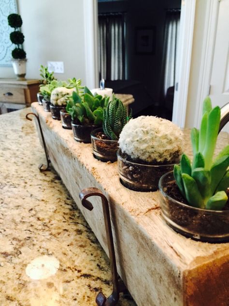 Succulents planted in a sugar mold. Sugar Mold Decor Ideas, Sugar Molds Decor, Wood Sugar Mold, Sugar Mold, Dining Room Table Centerpieces, Dough Bowls, Succulents In Containers, Shabby Chic Farmhouse, Backyard Living