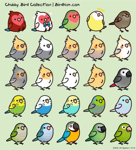 Cute Cartoon Cockatiels | cute kawaii birds sparrow parrotlet lovebird macaw conure cockatiels ... The Birds, Birds, Art, Kawaii