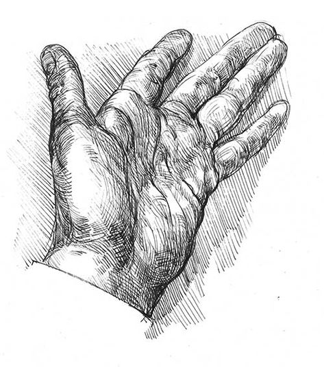 how-to-draw-with-pen-hands-05 Ballpen Drawing, Drawing With Pen, Ink Drawing Techniques, Art Of Drawing, Ballpoint Pen Art, Draw Hands, Pen Drawings, Contour Drawing, Pen Sketch