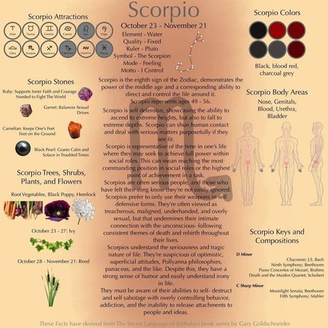 Scorpio Witch, Scorpio Status, Rooted Garden, Scorpio Color, Scorpio Planet, Scorpio Sun Sign, Sun In Scorpio, Scorpio Symbol, Scorpio Astrology