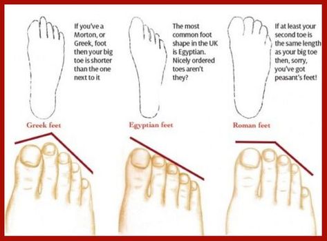 About Your Character, Palmistry Reading, Genealogy Forms, Face Reading, Interesting Facts About World, How To Read People, Palm Reading, 2 Ingredient, Life Symbol