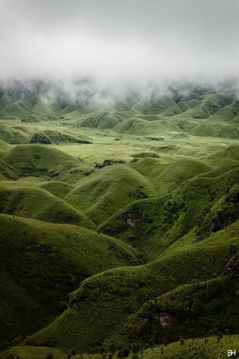 https://flic.kr/p/LJFPHJ | Dzukou Valley Dzukou Valley, India Travel Places, Northeast India, Destination Photography, Tourist Places, Travel And Tourism, India Travel, Dream Destinations, Travel And Leisure