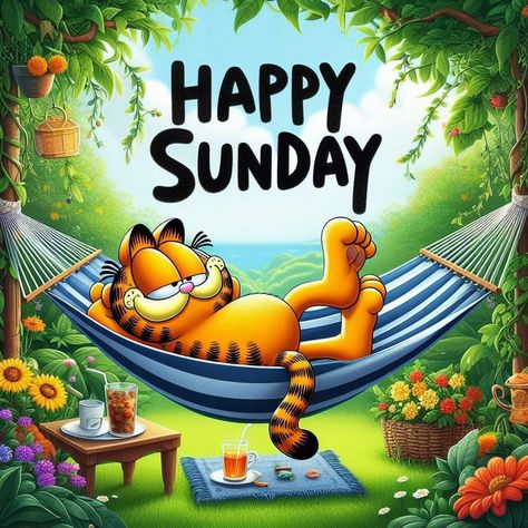 Sunday Morning Humor, Garfield Quotes, Good Morning Happy Weekend, Good Morning Cat, Happy Sunday Morning, Good Morning Snoopy, Sunday Greetings, Morning Cat, Morning Memes