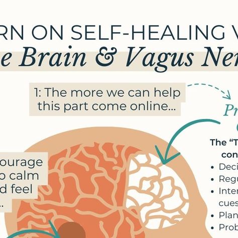 Primal Trust™ - Dr. Cathleen King on Instagram: "Our body possesses incredible self-healing mechanisms that we can activate by engaging the prefrontal cortex, calming down the limbic system, and utilizing the vagus nerve as a conduit for these signals.

The prefrontal cortex, often called the "thinking brain," is responsible for decision-making and self-regulation. By training ourselves to engage this region more effectively, we can exert greater regulation over our responses to stress and adversity.

Learning techniques to calm down the limbic system, known as the "emotional brain," helps us manage emotions and reduce the physiological effects of stress. This can involve practices like brain retraining, breathwork, or positive visualization.

The vagus nerve serves as a vital link between Manage Emotions, Positive Visualization, The Vagus Nerve, Limbic System, Vagus Nerve, Learning Techniques, Self Regulation, Managing Emotions, Self Healing