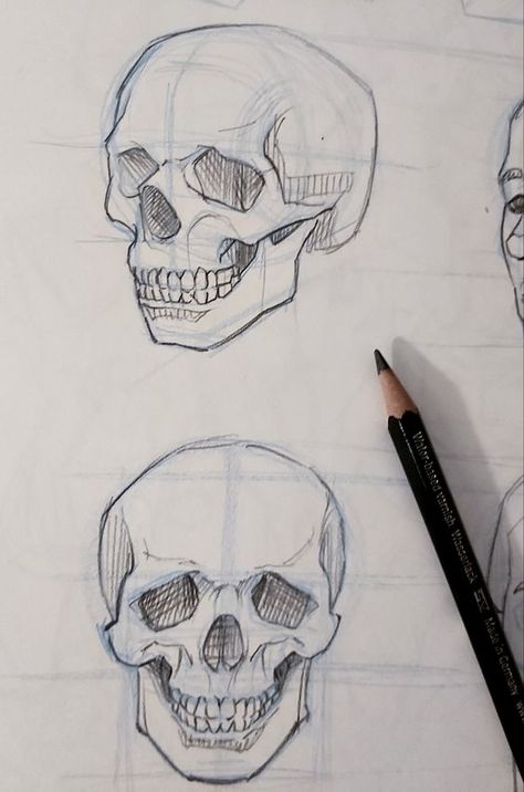 Skulls Drawing Tutorial, Skull Angles Drawing, Skull In Different Angles, Human Atonomy Drawing Sketch, Human Skull Drawing Sketches, Skull Angles Reference, Skull Studies Drawing, Easy Skull Sketch, Skull Sketch Tutorial