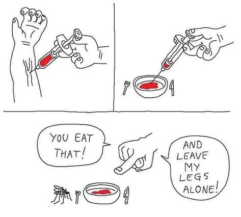 Mackenzie Kwak -Parasitologist en Instagram: “#parasite #parasites #parasitic #parasitology #parasitologist #parasitememes #memedreams #disgnosticparasitology #vetstudents #vetscience…” Mosquito Meme, Haidar Ali, Groucho Marx, Meme Page, Funny Picture, Memes Humor, Love Memes, Komik Internet Fenomenleri, Best Funny Pictures