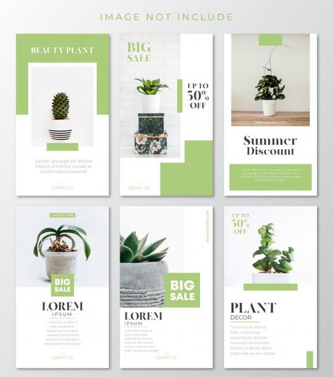 Green plant instagram stories template P... | Premium Vector #Freepik #vector #flower #sale #floral #design Plant Instagram, Stickers Plants, Instagram Story Stickers, Flower Catalog, Tipografi 3d, Instagram Stories Template, Story Stickers, Plant Catalogs, Desain Editorial