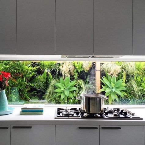 Kitchen Plants Window, Indoor Window Boxes, Kitchen Splashback Designs, Kitchen Splash Back, Glass Splashbacks, Kitchen Plants, Kitchen Splashbacks, Indoor Window, Kitchen Splashback