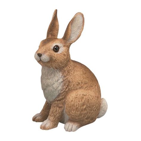 Artline Sculptural Gardens Rabbit Garden Statuary Artline https://www.amazon.ca/dp/B000BWY3BY/ref=cm_sw_r_pi_dp_x_3YZlzbBM2V5ZD Garden Statuary, Bunny Statue, Garden Figures, Rabbit Garden, Wildlife Garden, Rabbit Sculpture, Grass Decor, Statues For Sale, Ceramic Bunny