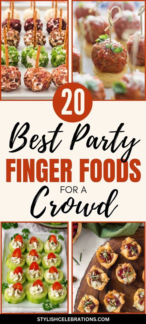 Best Party Finger Foods For A Crowd Easy Finger Food Ideas, Easy Party Finger Food, Simple Finger Foods, Cold Party Food, Finger Foods For A Crowd, Easy Cold Finger Foods, Fancy Party Food, Party Finger Food Ideas, Foods For A Crowd