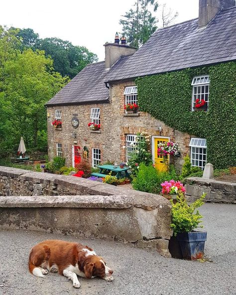 Ireland Aesthetic Irish Cottage, Ireland Houses, Ireland Tattoo, Ireland Aesthetic, Ireland Cottage, Ireland Photography, Irish Cottage, Ireland Landscape, Galway Ireland