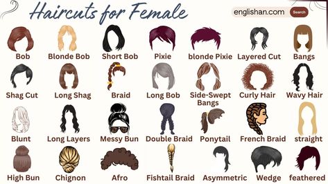 Haircuts for Female with Pictures Names In English • Englishan Hair Cuts Names For Women, Types Of Hairstyles Names, Naming Conventions, Hair Knowledge, Different Hair Cut, Female Haircut, Haircut Names, French Braid Ponytail, Classic Haircut