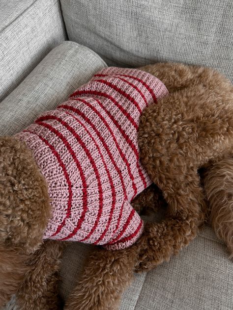 Knit dog sweater, pattern by fuzzy wuz knitwear @peytonmade Crochet Dog Sweater Pattern, Dog Outfits, Christmas Crochet Dog Sweater, Crochet Dog Sweater Christmas, Dandy Dog Sweater Crochet, Crochet Dog Sweater Big, Big Dog Sweaters, Dog Knitwear, Dog Sweater Crochet Pattern