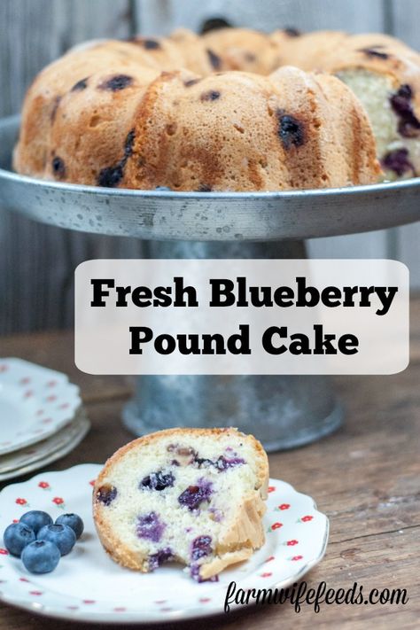 Cake Simple Recipe, Blueberries Cake, Orange Muffin Recipe, Blueberry Bundt Cake, Blueberry Pound Cake, Fresh Fruit Cake, Cake Form, Blueberry Cake Recipes, Cake Simple