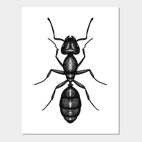 Ant -- Choose from our vast selection of art prints and posters to match with your desired size to make the perfect print or poster. Pick your favorite: Movies, TV Shows, Art, and so much more! Available in mini, small, medium, large, and extra-large depending on the design. For men, women, and children. Perfect for decoration. Ant Graphic, Ant Drawing, Ant Tattoo, Ant Art, Ant Insect, Engraving Tattoo, Black Ants, Tattoo Culture, Bug Tattoo