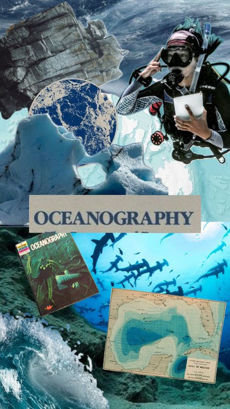 Oceanography Marine Biology, Marine Biologist, Mysterious Places, Oceanography, Marine Biology, Gulf Of Mexico, Ocean Life, Science And Nature, Marine Life