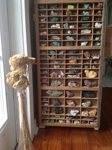 Rock Specimen Display, Crystal Display Case, Rock Displays Ideas, What To Do With Rock Collection, Ways To Display Crystals Rock Collection, Trinket Storage Ideas, Crystal Display Cabinet, Outdoor Rock Collection, Rock Display Shelf