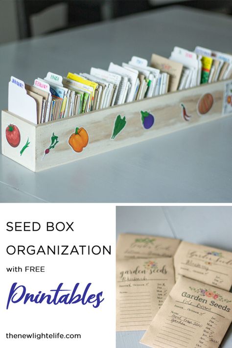 Seed Box Storage, Seed Saving Storage, Garden Hod, Seed Organization, Seed Saving Envelopes, Gardening Printables, Seed Envelopes, Box Organization, Seed Storage