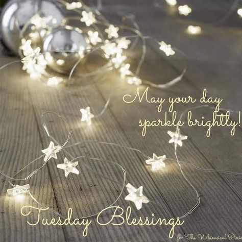 Hump Day Quotes, Fairy Lights Christmas, Happy Tuesday Morning, Tuesday Quotes Good Morning, Lights Christmas Tree, Christmas Tree Decorating Ideas, Tree Decorating Ideas, Good Morning Happy Saturday, Good Morning Post