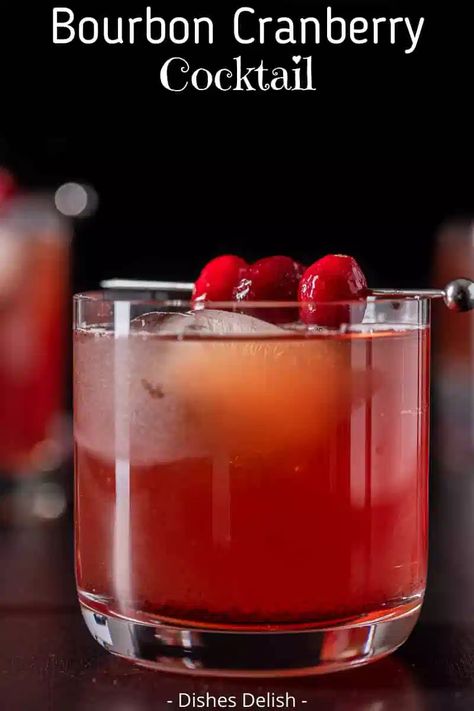 The blend of ingredients in this bourbon cranberry cocktail makes for a scrumptious and fun drink! The tartness of the cranberry juice perfectly balances the bourbon, simple syrup and ginger beer. #bourbon #cranberry #cocktail #dishesdelish Burbon Drinks, Manly Cocktails, Cranberry Cocktail Recipe, Ginger Beer Drinks, Bourbon Drinks Recipes, Painkiller Cocktail, Ginger Beer Cocktail, Unsweetened Cranberry Juice, Bourbon Cocktail Recipe