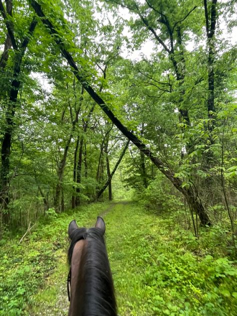 Trail Rides Aesthetic, Trail Ride Aesthetic, Heartland Aesthetic, Horseback Riding Aesthetic, Trail Riding Horses, Horse Trails, Fox Hunter, Horseback Riding Trails, Horse Riding Aesthetic