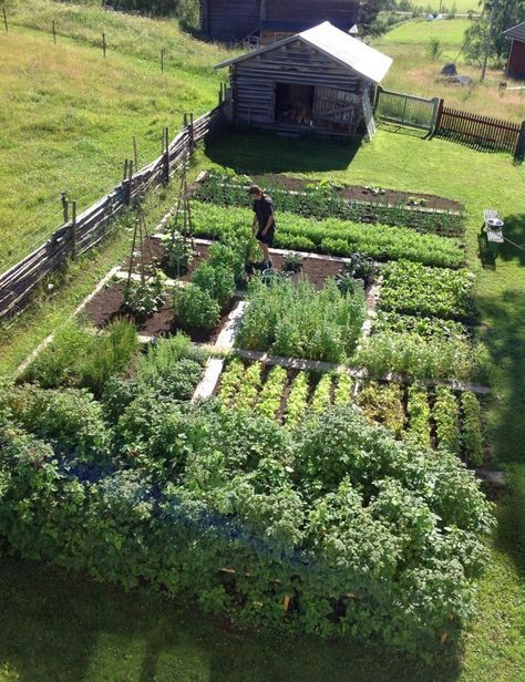 Farm Garden Layout, Vegetable Garden Planner, Homestead Farm, Backyard Vegetable Gardens, Farm Garden, Garden Planner, Vegetable Garden Design, A Barn, Garden Layout