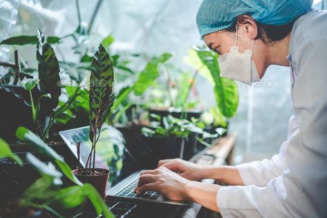 Agriculture Students, Biology Scientist, Agriculture Science, Agriculture Pictures, Student Exhibition, Growth Plant, Plant Biology, Biology Plants, Professional Profile Pictures