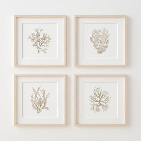 Boho Corals Seaweeds Minimalist Wall Decor Set of 4 Prints - Etsy Coastal Bathroom Art, Minimalist Coastal, Beach House Wall Decor, Neutral Wall Decor, Coral Watercolor, Nautical Wall Decor, Coastal Wall Decor, Coastal Boho, Boho Interiors