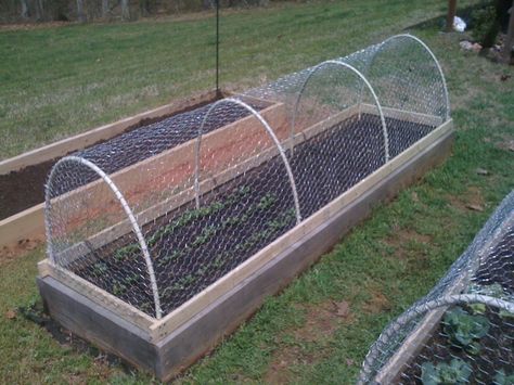 Raccoon and squirrel proof cages for our veggie garden. PVC pipe is screwed into boards with 6" over that anchors the cage into the ground. Cannot be pushed off by critters, yet lifts straight off for humans. Squirrel Proof Garden, Garden Cage, Fenced Vegetable Garden, Vegetable Garden Planner, Jardim Diy, Vegetable Garden Raised Beds, Building A Raised Garden, Diy Raised Garden, Raised Garden Beds Diy