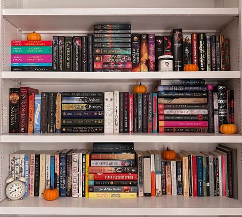 Bookshelf Knick Knacks, Throne Of Glass Bookshelf, Booktok Bookshelves, Little Bookshelf, Pretty Bookshelves, Bookshelf Inspo, Night Witches, Bookshelf Ideas, Bookcase Organization