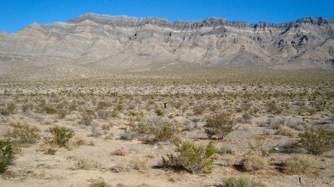 Great Basin desert. Nevada.2009 Great Basin Desert, Desert Vivarium, Great Basin, Rpg Ideas, Escape Room Game, Dnd Maps, Vivarium, Escape Room, Cali