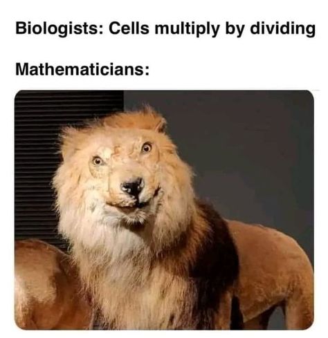 Biology vs Maths Biology Jokes, Biology Memes, Naruto Meme, Nerd Memes, Nerd Jokes, Meme Maker, Funny Science Jokes, Science Jokes, Science Humor