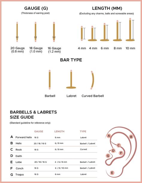 Ear Piercing Size Chart, Types Of Ear Piercings Chart, Earring Size Chart, Piercing Diagram, Ear Piercing Diagram, Piercings Ears, Piercing Guide, Different Types Of Piercings, Ear Peircings