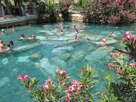 Ancient Thermal Pool Pamukkale Turkey | Swimming with columns from the Temple of Apollo in the Hierapolis ... Roman Pool, Temple Of Apollo, Thermal Pool, Outdoor Aesthetic, Thermal Spring, Pond Design, Pamukkale, Swimming Holes, Dream Holiday