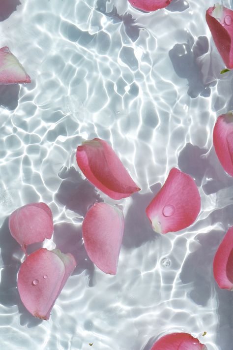 Stay tuned for our new Evelyn Rose Collection drop featuring calming rosewater... Flowers On Water Aesthetic, Rose Water Product Photography, Rosewater Aesthetic, Rose Water Photography, Rose Water Aesthetic, Rose Petals Aesthetic, Rose Petals In Water, Petals In Water, Roses In Water