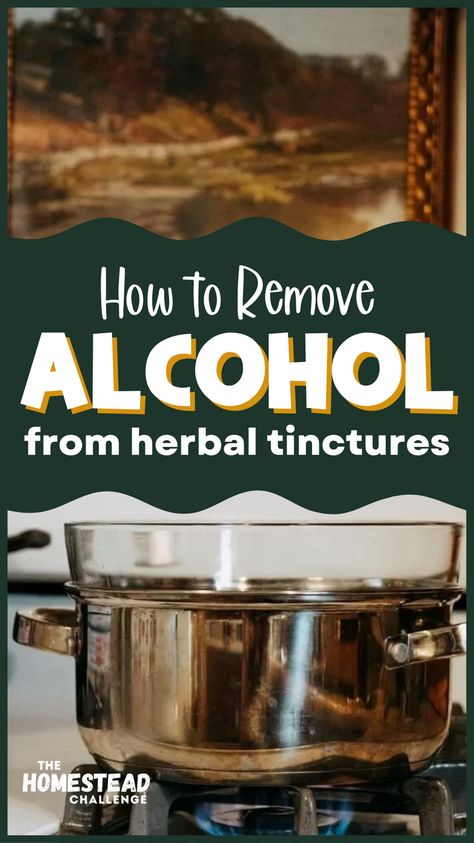 How To Make Medicinal Tinctures, Pineapple Sage Tincture, Peach Pit Tincture, Fall Tinctures, Mullen Tincture Recipe, Mullein Root Tincture Recipe, Herbal Tincture Recipes Healing Herbs, Antibiotic Tincture, Ashwagandha Tincture