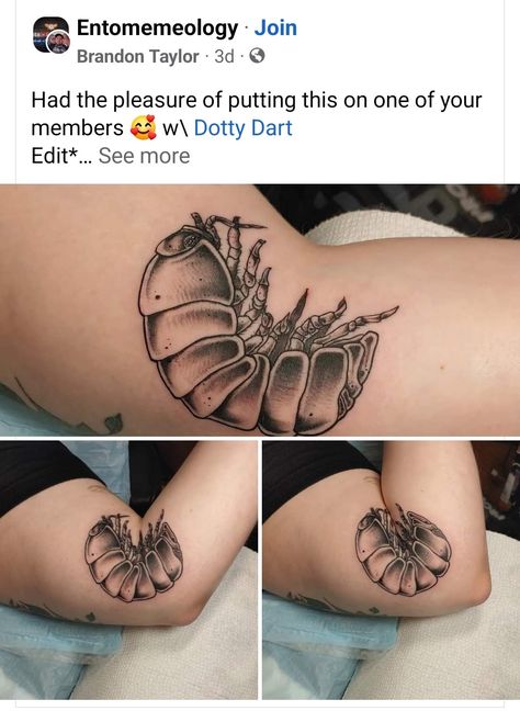 Dopamine Tattoo, Pictures Of Tattoos, Vogel Tattoo, Pill Bug, Funky Tattoos, Bug Tattoo, Insect Tattoo, Cute Little Tattoos, 1 Tattoo